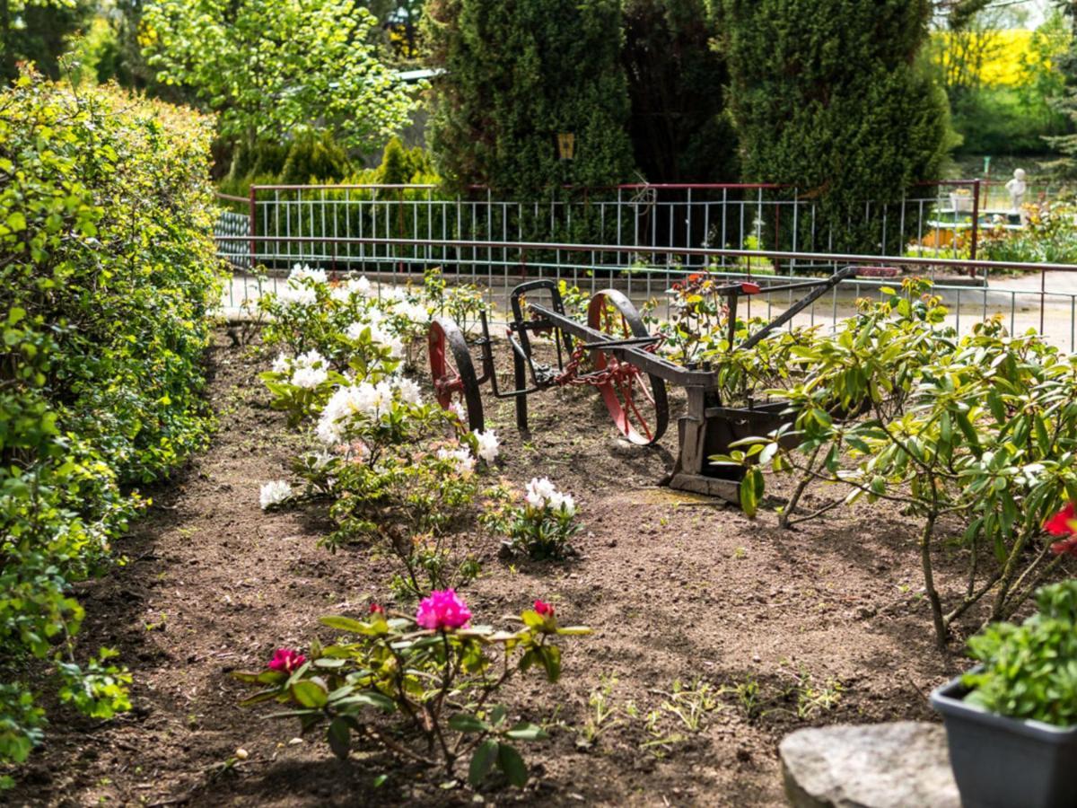 Gartenbungalow 2 Rechte Seite Klein Pravtshagen Værelse billede